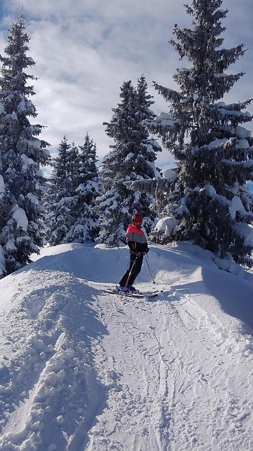 Apartment-Alpenfantasie เซลล์อัมเซ ภายนอก รูปภาพ
